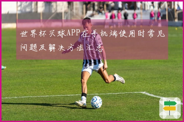 世界杯买球APP在手机端使用时常见问题及解决方法汇总